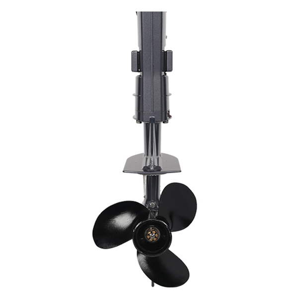 ЛОДОЧНЫЙ МОТОР ALLFA CG T9,8 Limit в Бийске