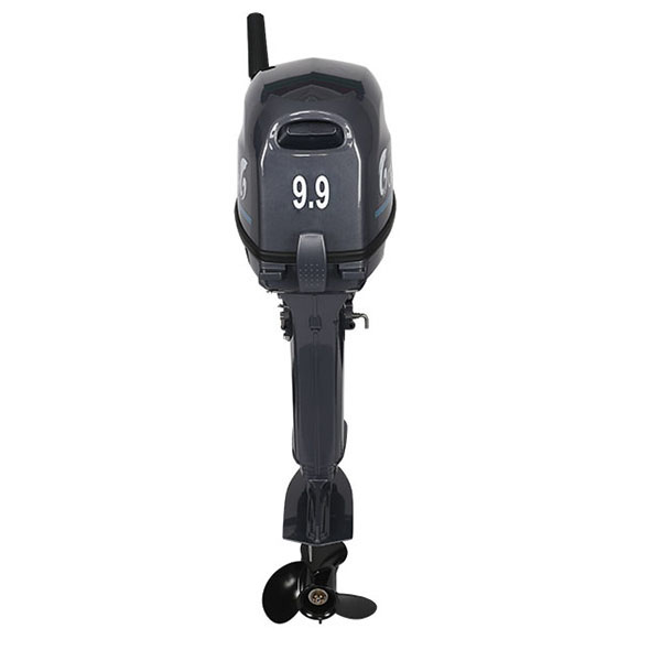 Лодочный мотор ALLFA CG Т9.9(20)MAX в Бийске