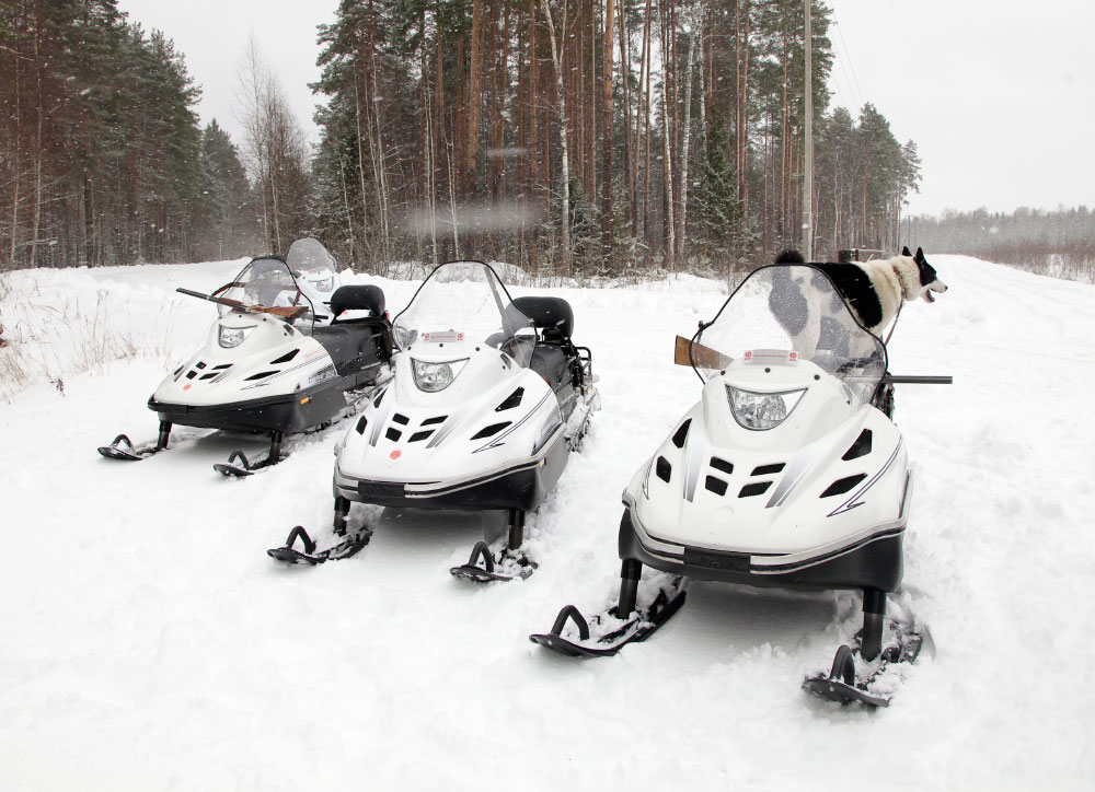 СНЕГОХОД РМ ТАЙГА ВАРЯГ 550 V в Бийске