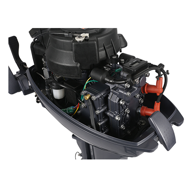 ЛОДОЧНЫЙ МОТОР ALLFA CG Т9,9 Limit в Бийске