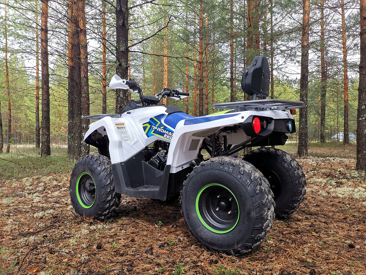 Квадроцикл PROMAX RENEGADE 280 (2025) в Бийске