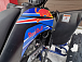 Квадроцикл PROMAX RAPTOR 300 NEW RedBull в Бийске