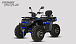 Квадроцикл PROMAX TAURUS 300 MAX-PRO LONG в Бийске