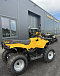 КВАДРОЦИКЛ IRBIS ATV 250  в Бийске