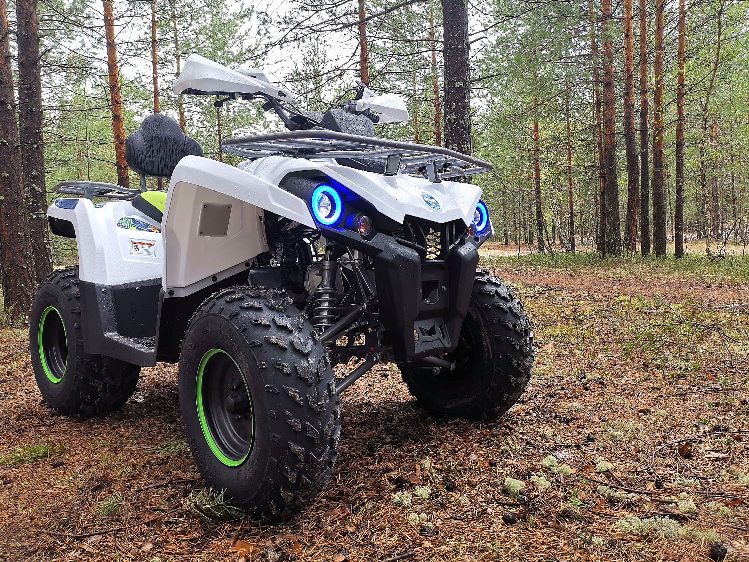 Квадроцикл PROMAX RENEGADE 280 (2025) в Бийске