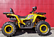 Квадроцикл PROMAX STORM 280 LUX в Бийске