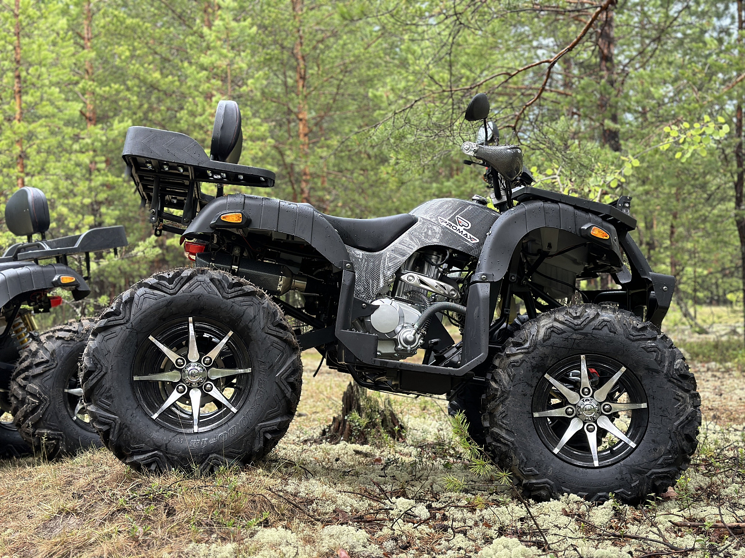 Квадроцикл PROMAX 320 DOMINATOR (2025) в Бийске