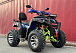  Квадроцикл PROMAX ATV 250 MAX (2025) в Бийске