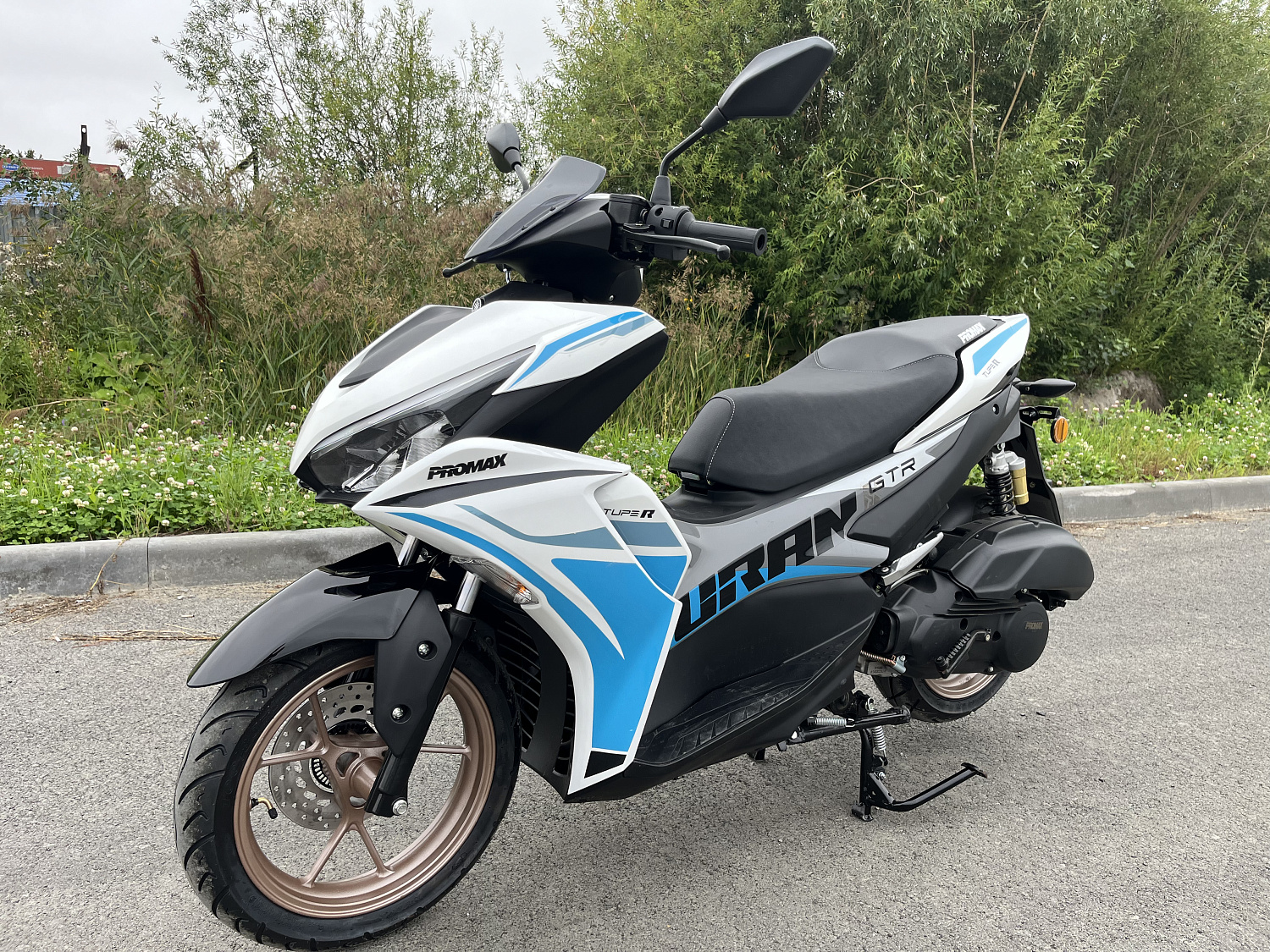 Скутер PROMAX TURAN 250 (49) в Бийске