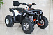 Квадроцикл GBM STORMRIDER 320 PREMIUM в Бийске