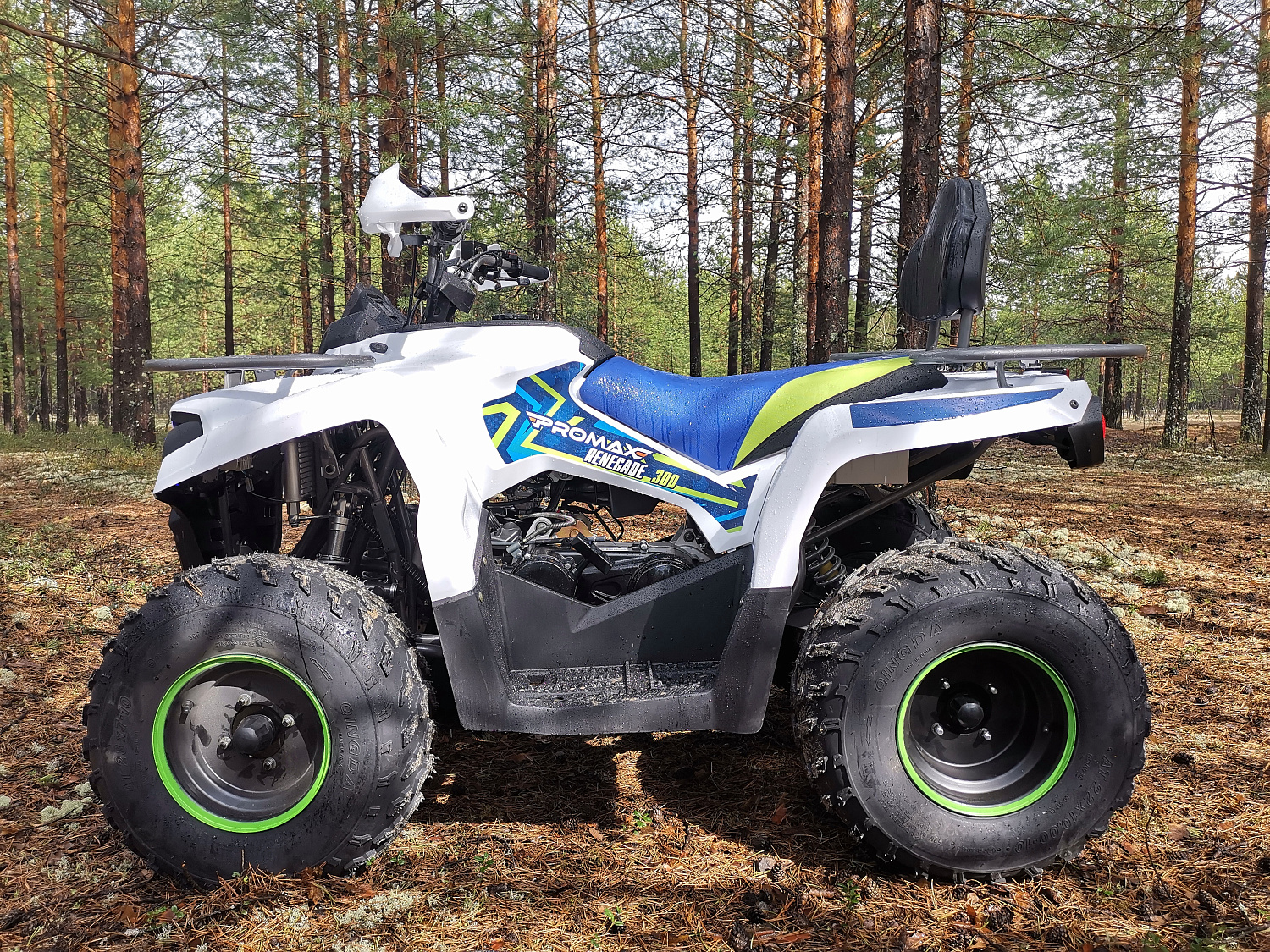 Квадроцикл PROMAX RENEGADE 280 (2025) в Бийске