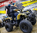 Квадроцикл PROMAX ATV 250 (2025) в Бийске