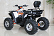 Квадроцикл GBM STORMRIDER 320 PREMIUM в Бийске