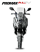 МаксиСкутер PROMAX-HONDA ADV 150 (49) (Inspired by HONDA) в Бийске