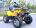 Квадроцикл MOTOLAND (МОТОЛЕНД) VOX200 WILD TRACK X PRO (баланс. вал) в Бийске
