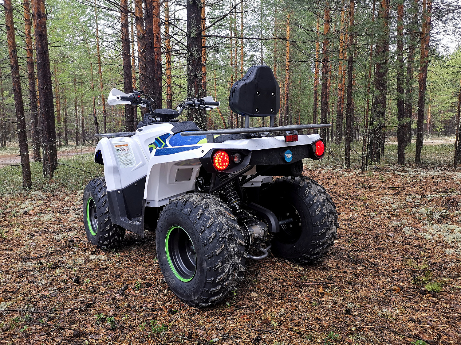 Квадроцикл PROMAX RENEGADE 280 (2025) в Бийске