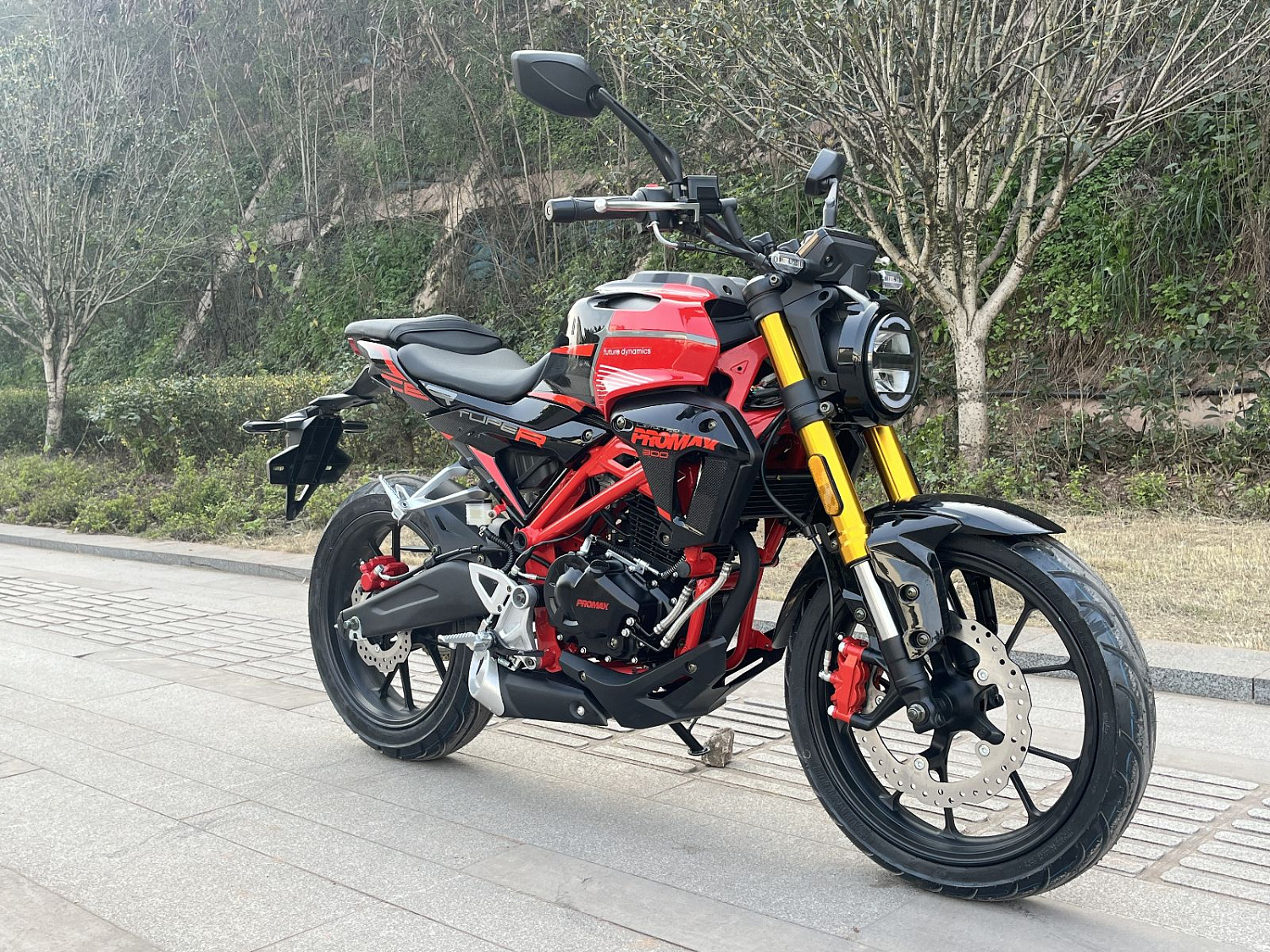 Мотоцикл PROMAX CB300 в Бийске