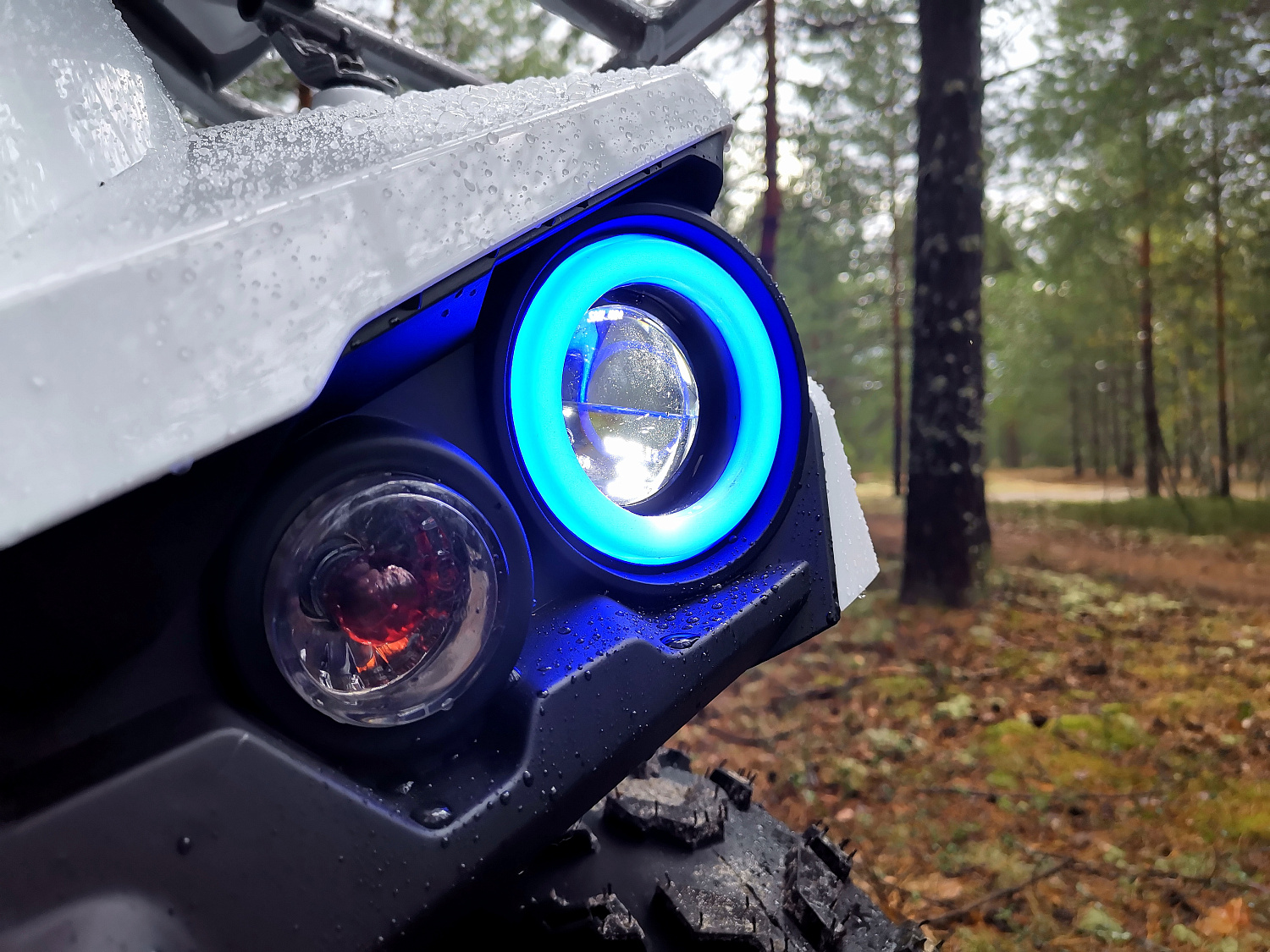 Квадроцикл PROMAX RENEGADE 280 (2025) в Бийске