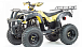 Квадроцикл MOTOLAND (МОТОЛЕНД) 250 ADVENTURE в Бийске